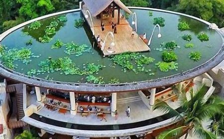 Ten Bali Hotels with Full‑Spectrum Facilities & Diverse Room Choices